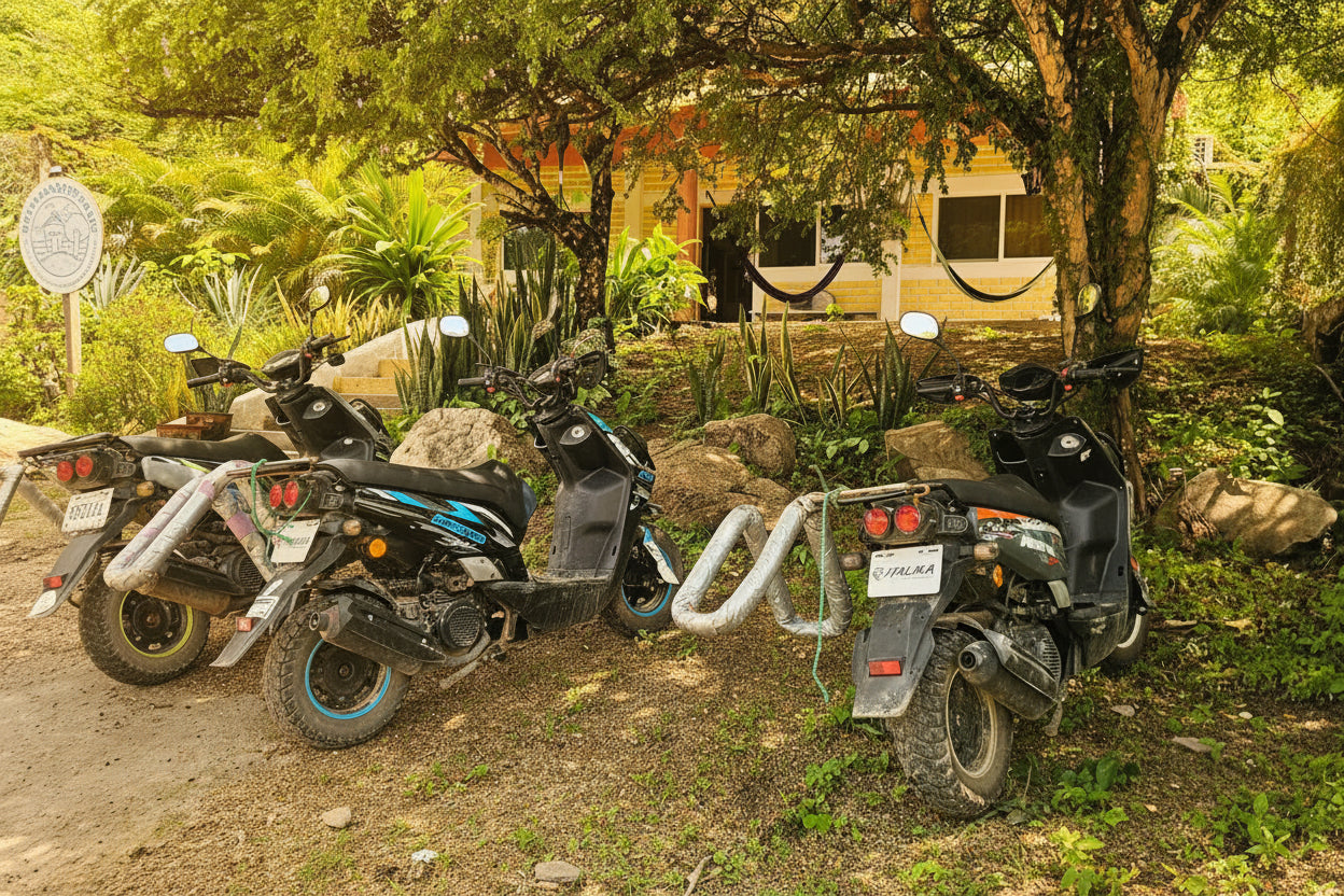 SCOOTER RENTALS